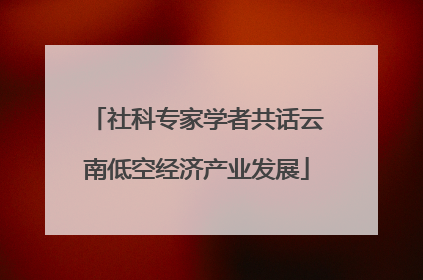 社科专家学者共话云南低空经济产业发展