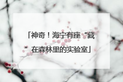 神奇！海宁有座“藏”在森林里的实验室