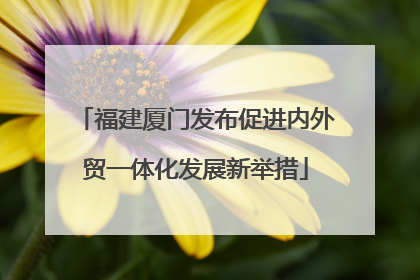 福建厦门发布促进内外贸一体化发展新举措