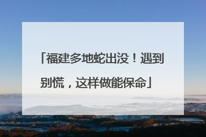 福建多地蛇出没！遇到别慌，这样做能保命