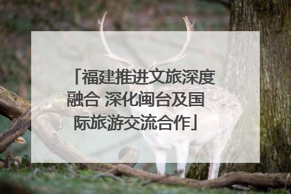 福建推进文旅深度融合 深化闽台及国际旅游交流合作