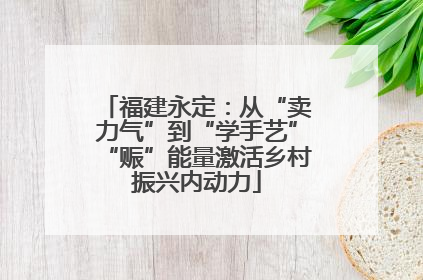 福建永定：从“卖力气”到“学手艺”“赈”能量激活乡村振兴内动力