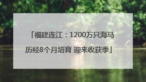 福建连江：1200万只海马历经8个月培育 迎来收获季