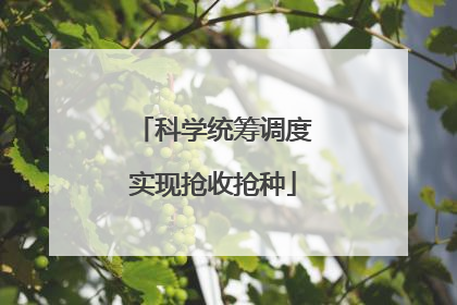 科学统筹调度实现抢收抢种