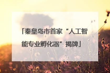 秦皇岛市首家“人工智能专业孵化器”揭牌