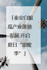 秦安白脆瓜产业蓬勃发展 开启夏日“甜蜜季”