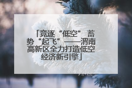 竞逐“低空” 蓄势“起飞”——渭南高新区全力打造低空经济新引擎