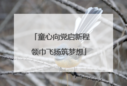 童心向党启新程 领巾飞扬筑梦想