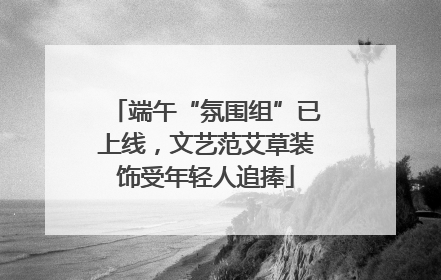 端午“氛围组”已上线，文艺范艾草装饰受年轻人追捧