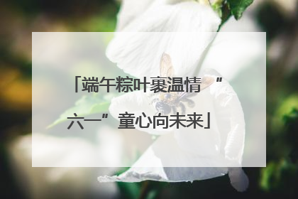 端午粽叶裹温情 “六一”童心向未来