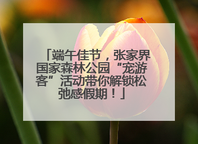 端午佳节，张家界国家森林公园“宠游客”活动带你解锁松弛感假期！