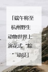 端午将至 杭州野生动物世界上演花式“粽”动员