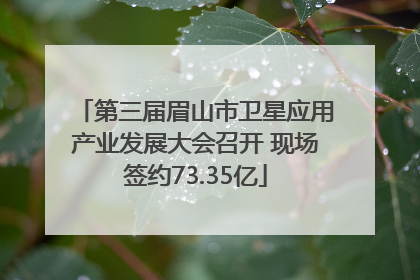 第三届眉山市卫星应用产业发展大会召开 现场签约73.35亿