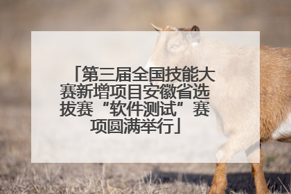 第三届全国技能大赛新增项目安徽省选拔赛“软件测试”赛项圆满举行