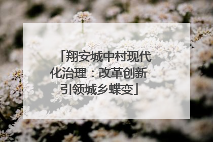 翔安城中村现代化治理：改革创新引领城乡蝶变