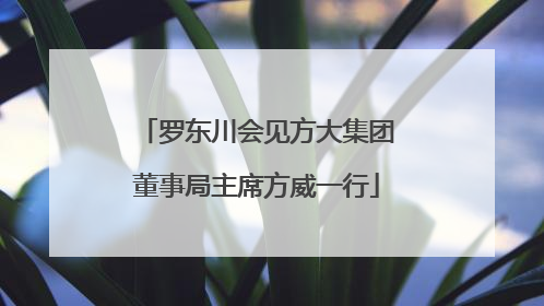 罗东川会见方大集团董事局主席方威一行