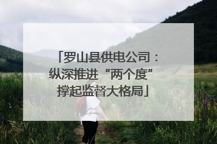 罗山县供电公司：纵深推进“两个度” 撑起监督大格局