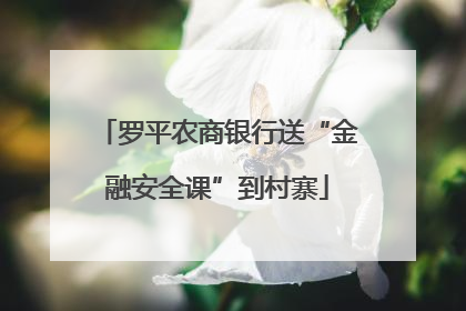 罗平农商银行送“金融安全课”到村寨