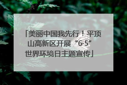 美丽中国我先行！平顶山高新区开展“6·5”世界环境日主题宣传
