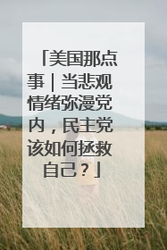 美国那点事｜当悲观情绪弥漫党内，民主党该如何拯救自己？
