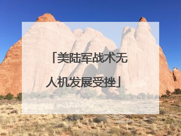 美陆军战术无人机发展受挫