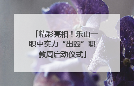 精彩亮相！乐山一职中实力“出圈”职教周启动仪式