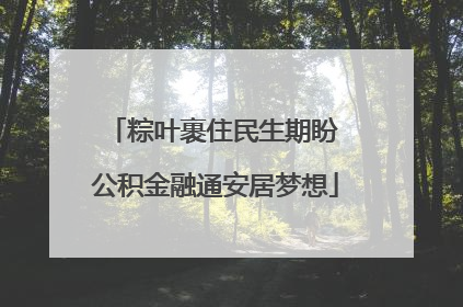 粽叶裹住民生期盼 公积金融通安居梦想