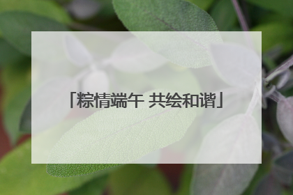 粽情端午 共绘和谐