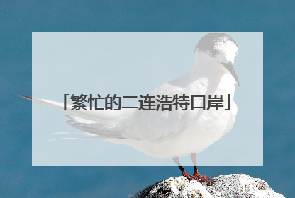 繁忙的二连浩特口岸