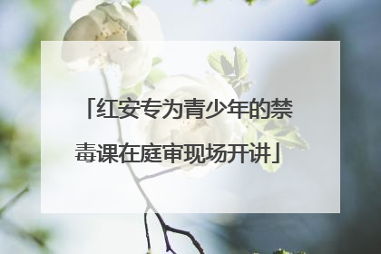 红安专为青少年的禁毒课在庭审现场开讲