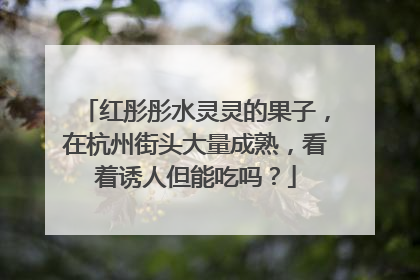 红彤彤水灵灵的果子，在杭州街头大量成熟，看着诱人但能吃吗？