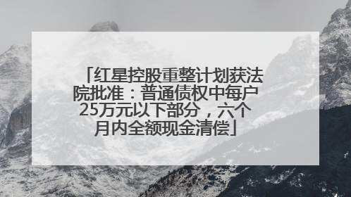 红星控股重整计划获法院批准：普通债权中每户25万元以下部分，六个月内全额现金清偿