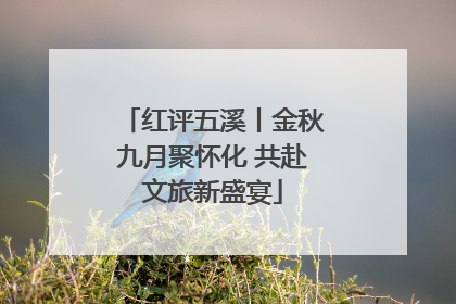 红评五溪丨金秋九月聚怀化 共赴文旅新盛宴