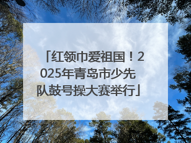 红领巾爱祖国！2025年青岛市少先队鼓号操大赛举行