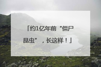 约1亿年前“僵尸昆虫”，长这样！