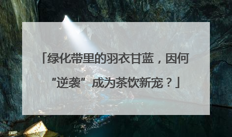 绿化带里的羽衣甘蓝，因何“逆袭”成为茶饮新宠？