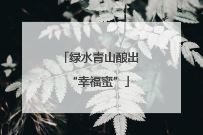 绿水青山酿出“幸福蜜”