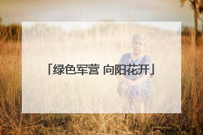 绿色军营 向阳花开