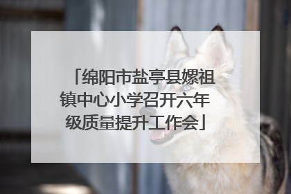 绵阳市盐亭县嫘祖镇中心小学召开六年级质量提升工作会