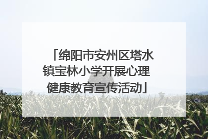 绵阳市安州区塔水镇宝林小学开展心理健康教育宣传活动