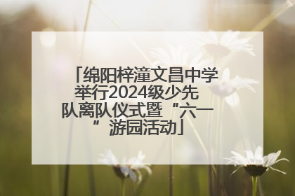 绵阳梓潼文昌中学举行2024级少先队离队仪式暨“六一”游园活动