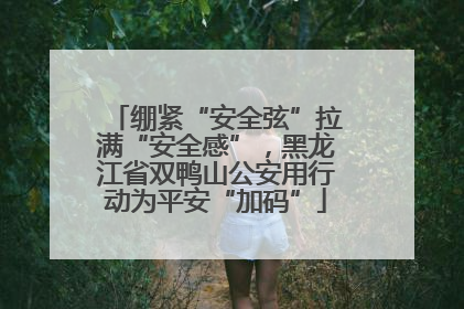 绷紧“安全弦”拉满“安全感”，黑龙江省双鸭山公安用行动为平安“加码”