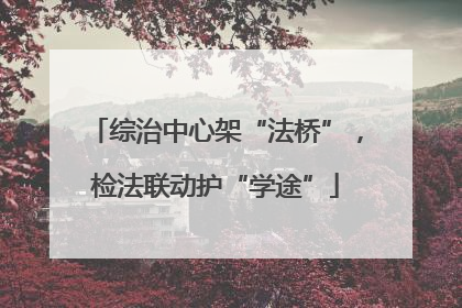 综治中心架“法桥”，检法联动护“学途”