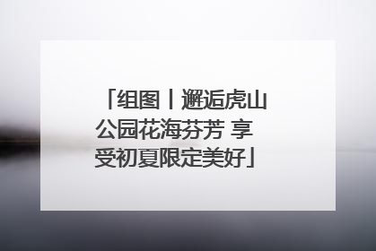 组图丨邂逅虎山公园花海芬芳 享受初夏限定美好