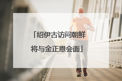 绍伊古访问朝鲜 将与金正恩会面