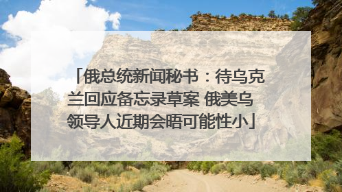 俄总统新闻秘书：待乌克兰回应备忘录草案 俄美乌领导人近期会晤可能性小