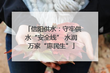 信阳供水：守牢供水“安全线” 水润万家“惠民生”