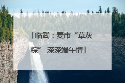 临武：麦市“草灰粽” 深深端午情