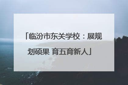 临汾市东关学校：展规划硕果 育五育新人