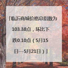 临沂商城价格总指数为103.38点，环比下跌0.10点（5月15日—5月21日）